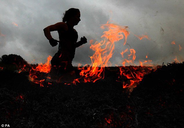 2012�ཬ����������ս����Ļ