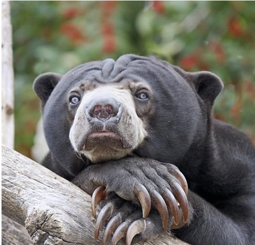 ����֮�� ������������������� ����Ȥ�£�ͼ