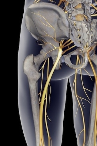 ��̾������ҽѧ3D������ͼ ����ͼƬ