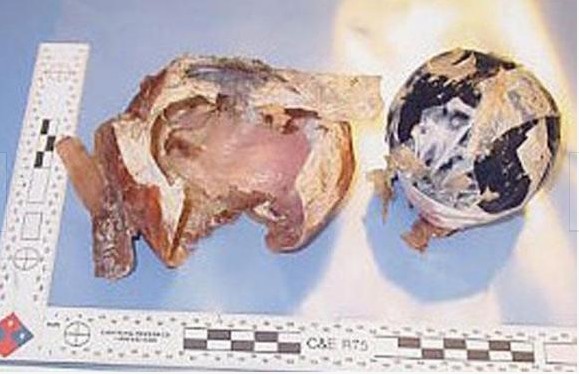 ���ط������ӵĲض������� ���治�У�ͼ��