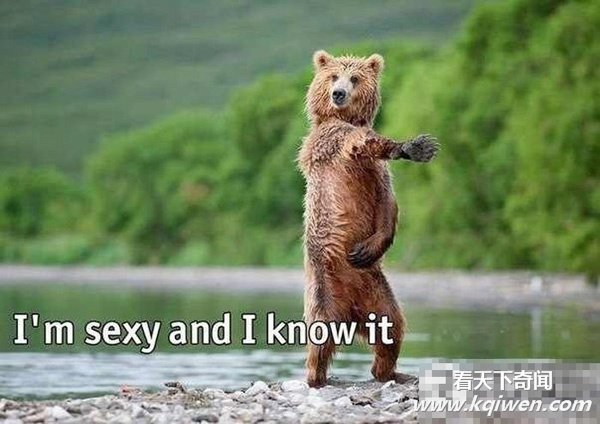 �̲�סЦ���Ŀ�ͼ