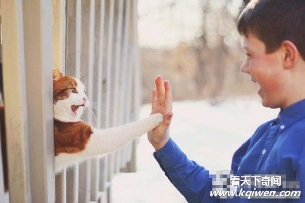 �̲�סЦ���Ŀ�ͼ