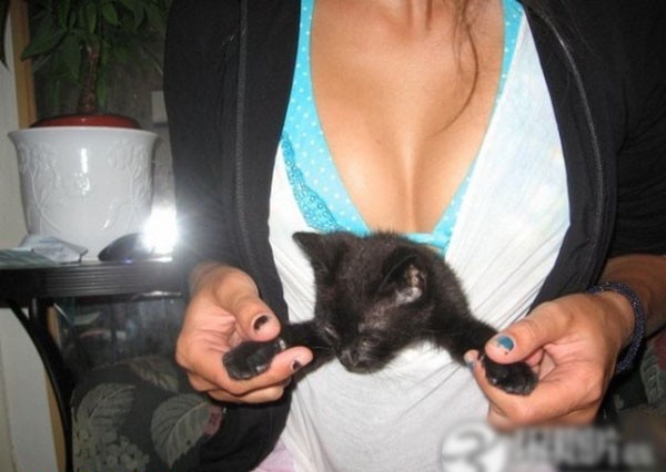 ��Ů������������ĳ����˹���ͼ�� ������ذ�(��ͼ)