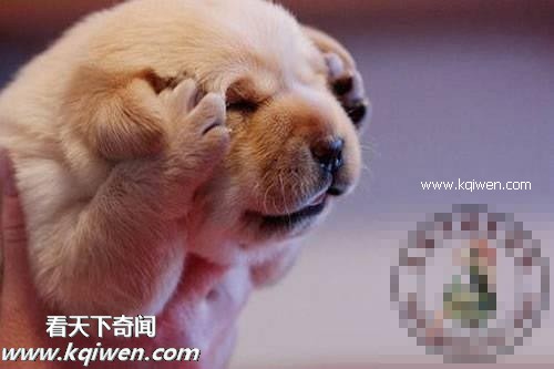 ��Ϊ���ޣ��ҵ�ѹ��Ҳ�ܴ�