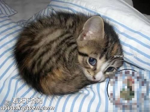 ��Ϊ���ޣ��ҵ�ѹ��Ҳ�ܴ�