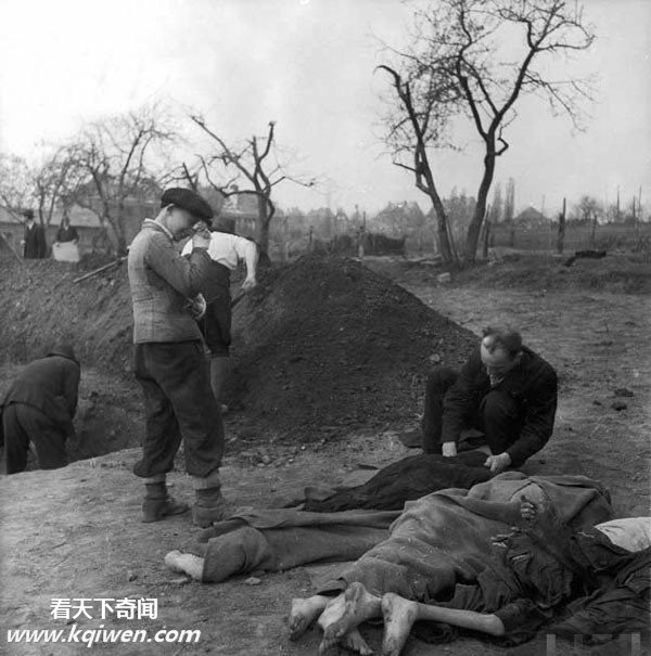 �����ɴ⼯��Ӫ��״��������ź�����ʬ��(��ͼ)